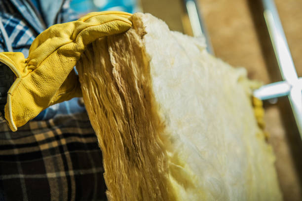 Best Insulation Replacement Services  in Morris, MN